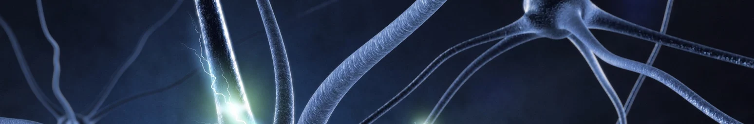 Synapses and neuronal connections in action – illustration of the human brain